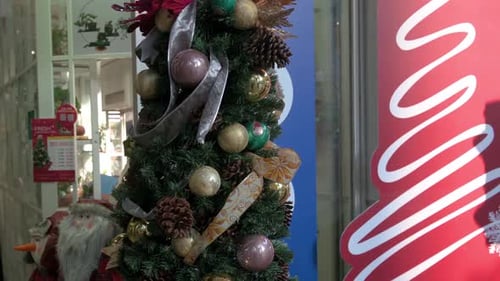 Christmas Tree with Decorations in Store Window