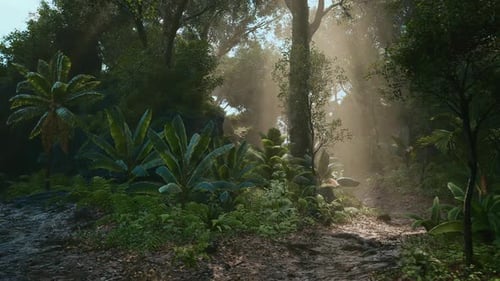 Sunlight Filtering Through Dense Forest Foliage in a Serene Woodland Setting