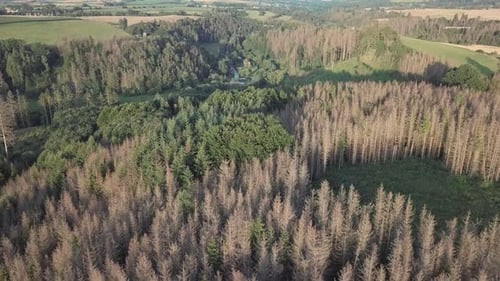 Aerial view of autumn countryside, traditional fall landscape in central Europe