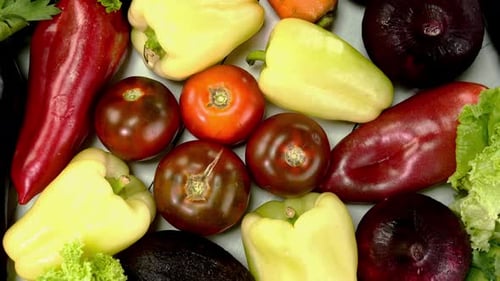 Assortment of Homegrown Mediterranean Fresh Vegetables for Healthy Cooking