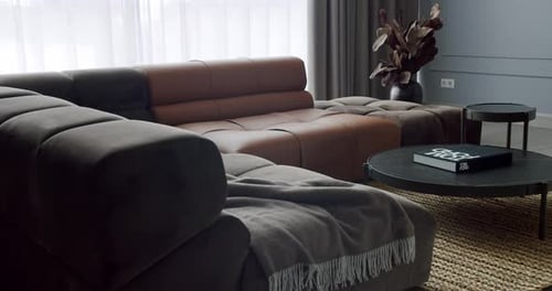 Modern Sofa in Bright, Stylish Living Room