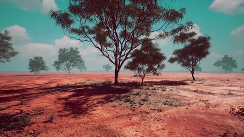 Sweeping Australian Outback Landscape with Red Earth and Green Trees