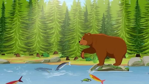 Grizzly brown Bear Catching Fish Salmon in Mountain River - Pine Forest - Wildlife - Animals