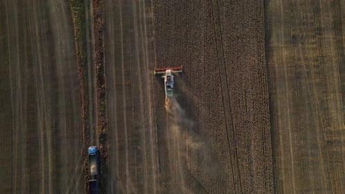Combine Harvester is Harvesting a Wheat Field Leaving a Trail of Dust Behind It