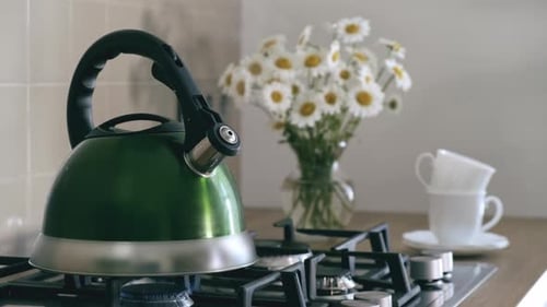 Green Kettle Steaming on Stove in Bright Kitchen