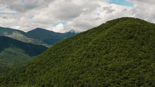 Üppige grüne Berglandschaftslandschaft
