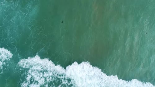 Top Down Aerial View of Giant Ocean Waves Crashing and Foaming