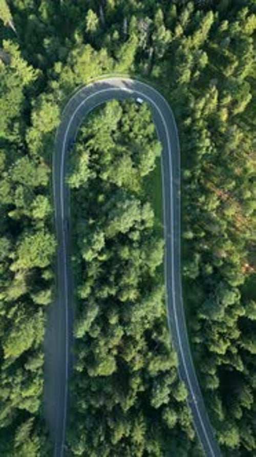 Top View Of A Car Driving On A Winding Road Through A Mountain Forest In Summer