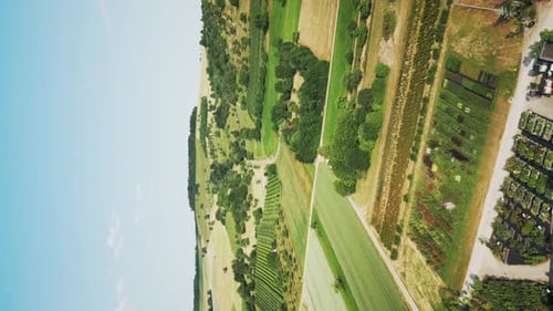 Aerial View of Green Fields and Forests