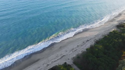 Waves Of The Mediterranean Sea Crash On The Sandy Coast Near The Trees In Italy