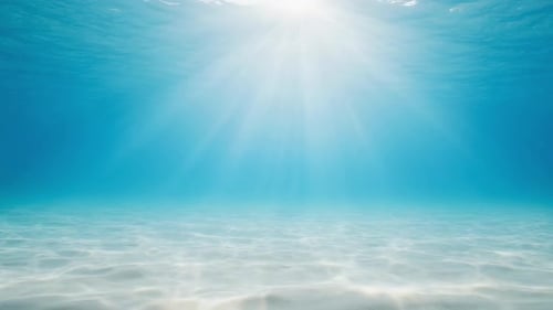 Underwater Rays