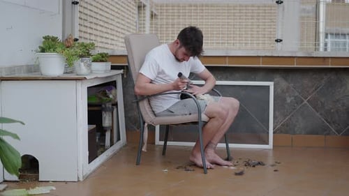 Man Sitting Next to Guinea Pig Cage is Giving His Pet a Hair Cut