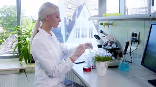 Young Woman Lab Work With Vials, Microscope