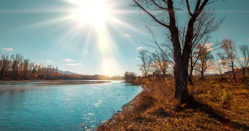 Mountain River Timelapse at the Summer or Autumn Day Time Wild Nature Clear Blue Water and Dry Trees