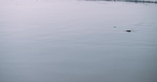 Zeitlupe, ruhiger Strand, weißer Schaum, Meereswellen rollen heran. Spiegelung am Strand