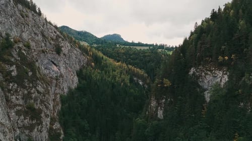 Um majestoso vale montanhoso que é lindamente cercado por vegetação exuberante e natureza