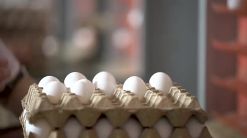 Eggs production. Workers sorting the produced hen eggs into trays.
