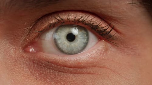 Woman Eye Macro Detailed Closeup of an Eye with Colorful Contact Lenses with Long Eyelashes and a