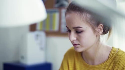 Focused Young Woman Studying with Textbook Indoors