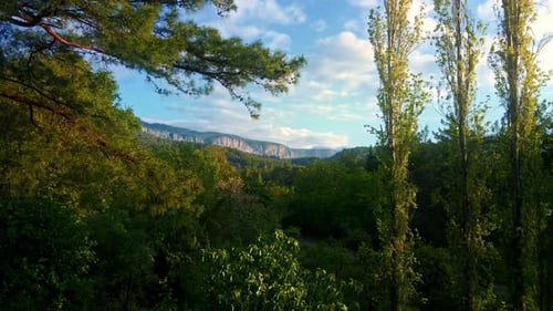 Aerial View Natural National Park(Köprülü Kanyon) in Travel Turkey