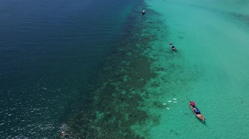 Footage of tourist snorkeling diving and tourism long-tailed boats float on the sea.