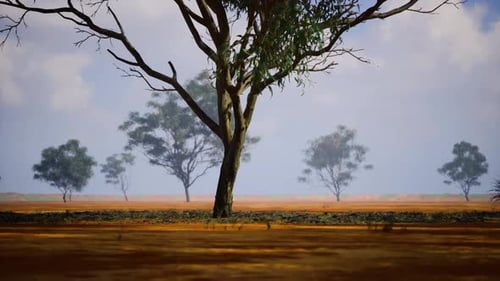 Tree in Foreground Creates Border Around Distant Savanna View Clearly