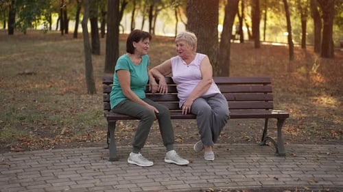 Women Chatting on Park Bench at Sunset