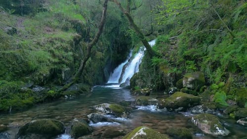 Small Waterfalls Flowing On The Mossy Rock Mountains In Santa Leocadia Near Mazaricos In Galicia Spa