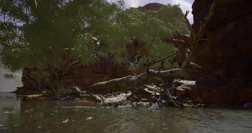 Serene Riverside Landscape with Trees and Rocky Cliffs During Daylight