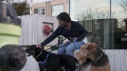 Of Dog Walker with Dogs Resting at Storefront