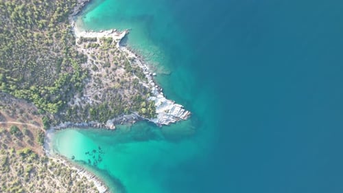 Drone Flies Over a Beach and Sea Bird Eye View