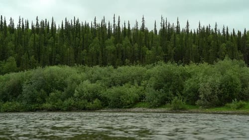 The Flow Of A River Against The Background Of A Green Dense Forest In Cloudy Weather