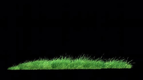 Grass Wind Loop on Alpha 4K.