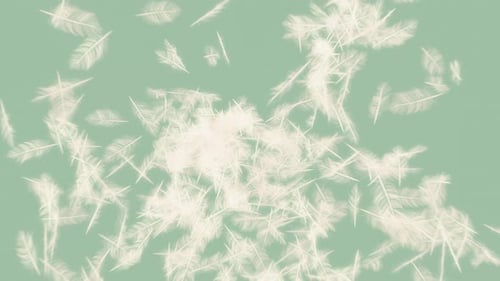 Animated White Feathers Floating Background