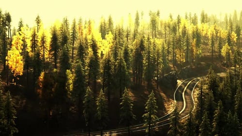 Winding Asphalt Road Through Vibrant Autumn Mountains at Sunset