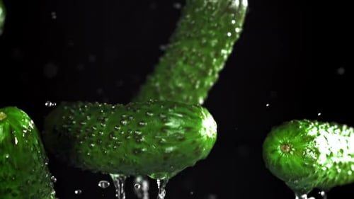 Cucumbers Fly Up and Fall Down on a Black Background Filmed on a Highspeed Camera at 1000 Fps