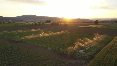 Aerial View Of Irrigation Of Farmland At Sunset 3