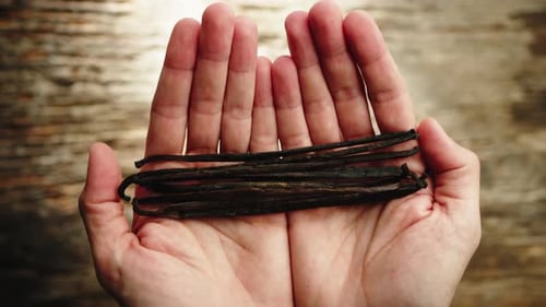 Holding Pods Of Vanilla Top View