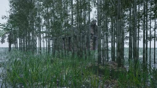 Rain falls in the countryside at dawn