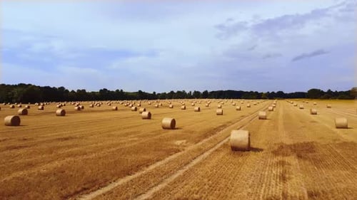 Drone flight over straw bales in a field on a beautiful day in summer