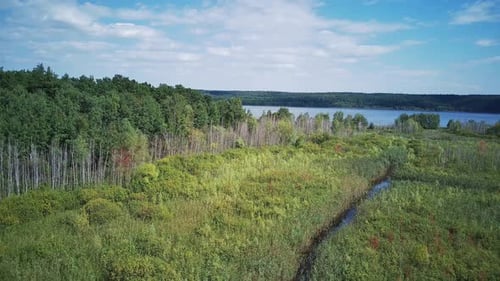 Picturesque Forest Region Washed By The Blue Waters Of The River.