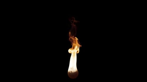 Igniting Matchstick with Flames on Black Background