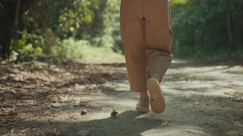 Woman tourist walk in forest on sunny summer day, Girl walks through natural forest
