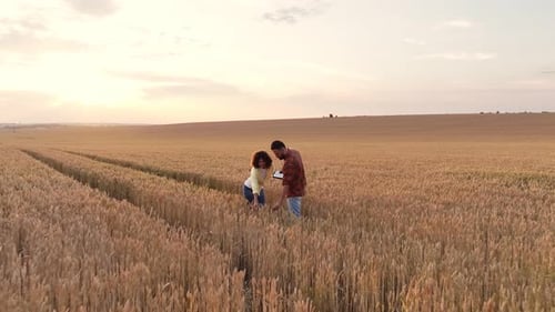 Two workers are on the wheat agricultural field together.