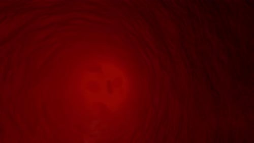 Red Blood Cells Flowing Through Blood Vessel Animation