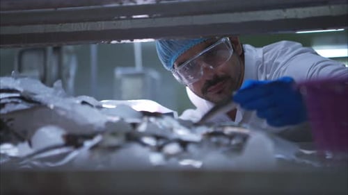 Les inspecteurs de la qualité des matières premières évaluent et inspectent les morceaux de poisson