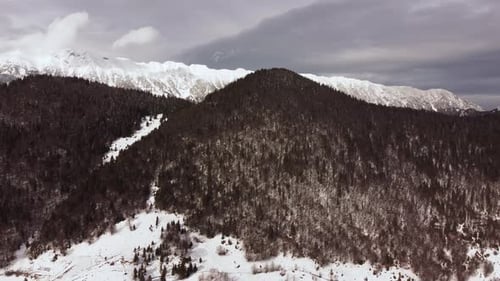Aerial Shot Flying Over Green Pine Trees In A Mountain Range Covered With Snow On A Cloudy Day
