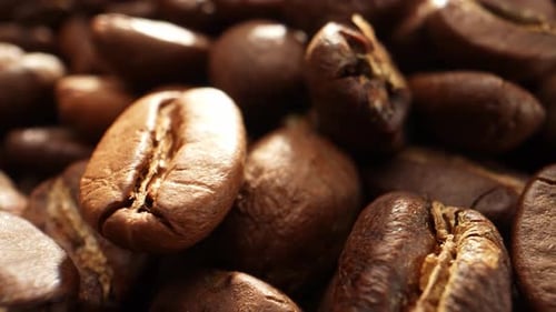 Beautiful coffee beans. Close-up macro video. 4K
