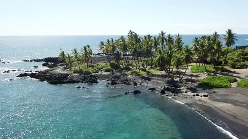 palm trees on black sand beach on big island hawaii with crystal blue water