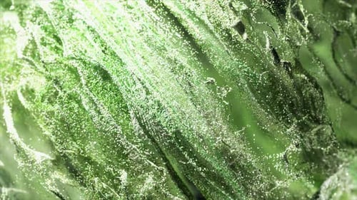 Green Particles Gracefully Flowing Downwards Against Pristine White Backdrop Creating Mesmerizing